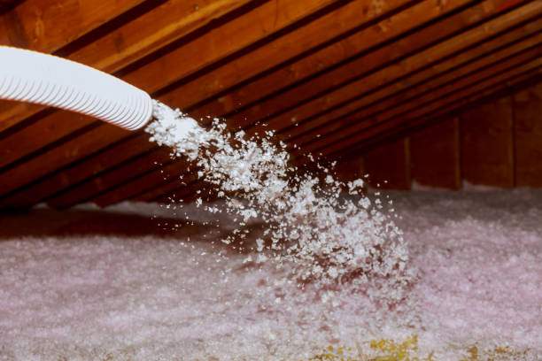 Best Types of Insulation in Mckenzie, TN