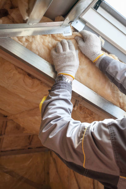 Best Insulation Installation Services in Mckenzie, TN
