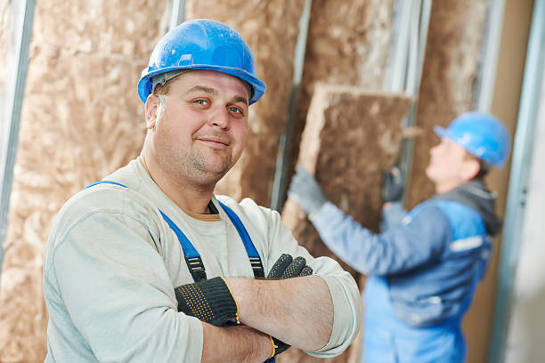 Best Insulation Maintenance and Repair in Mckenzie, TN