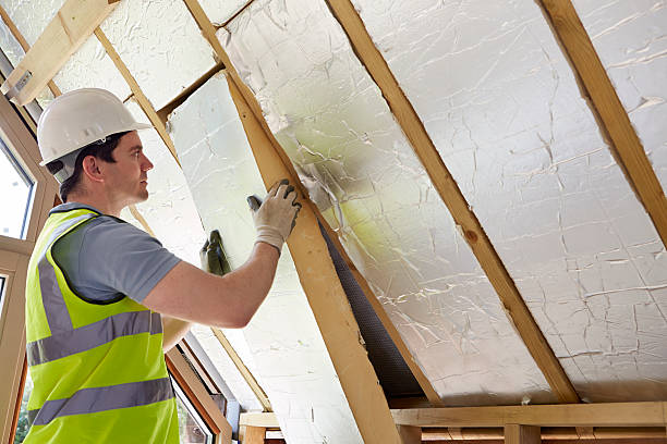 Best Insulation Maintenance and Repair in Mckenzie, TN